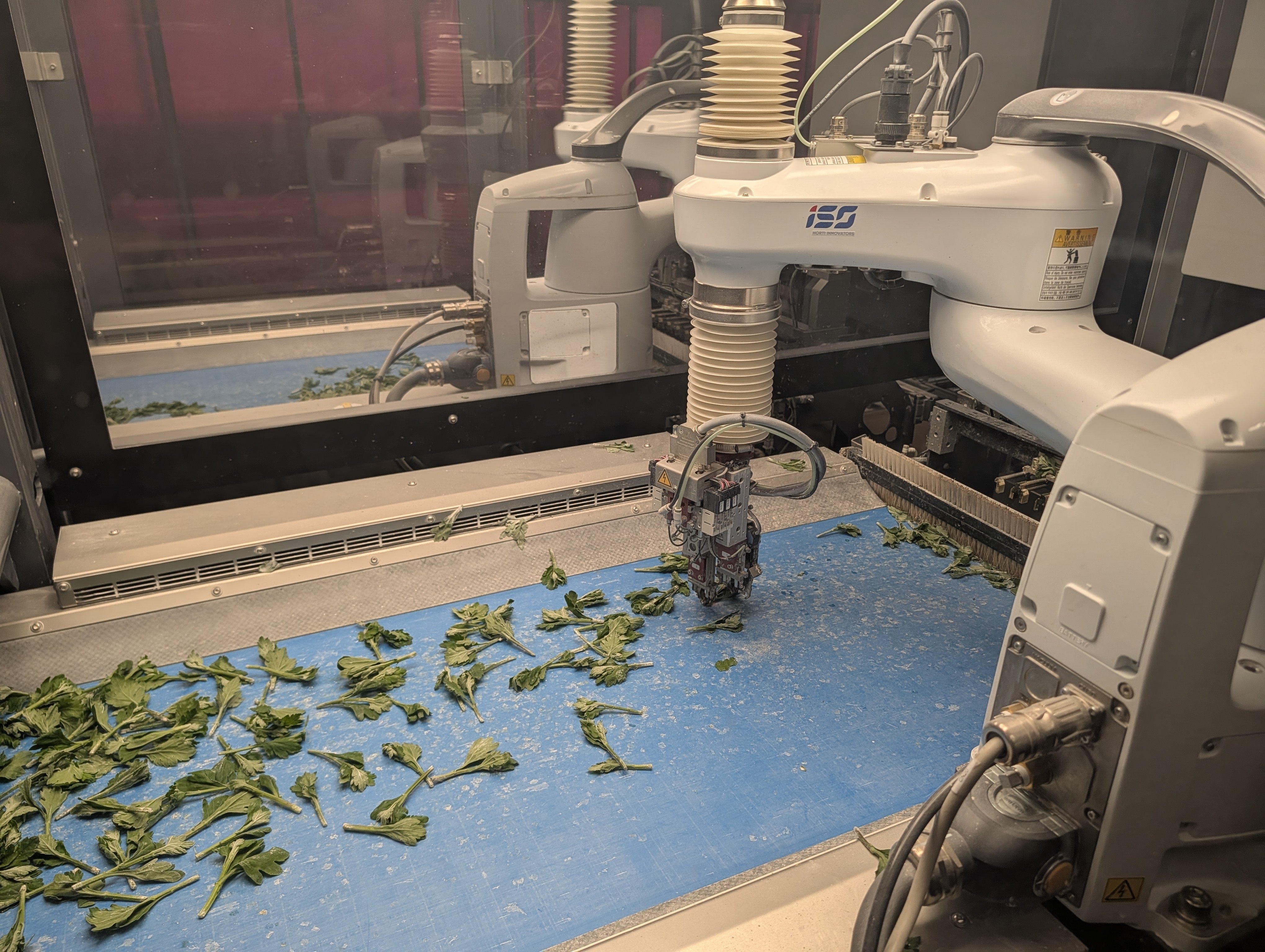 PXL_20260316_223734369.MP