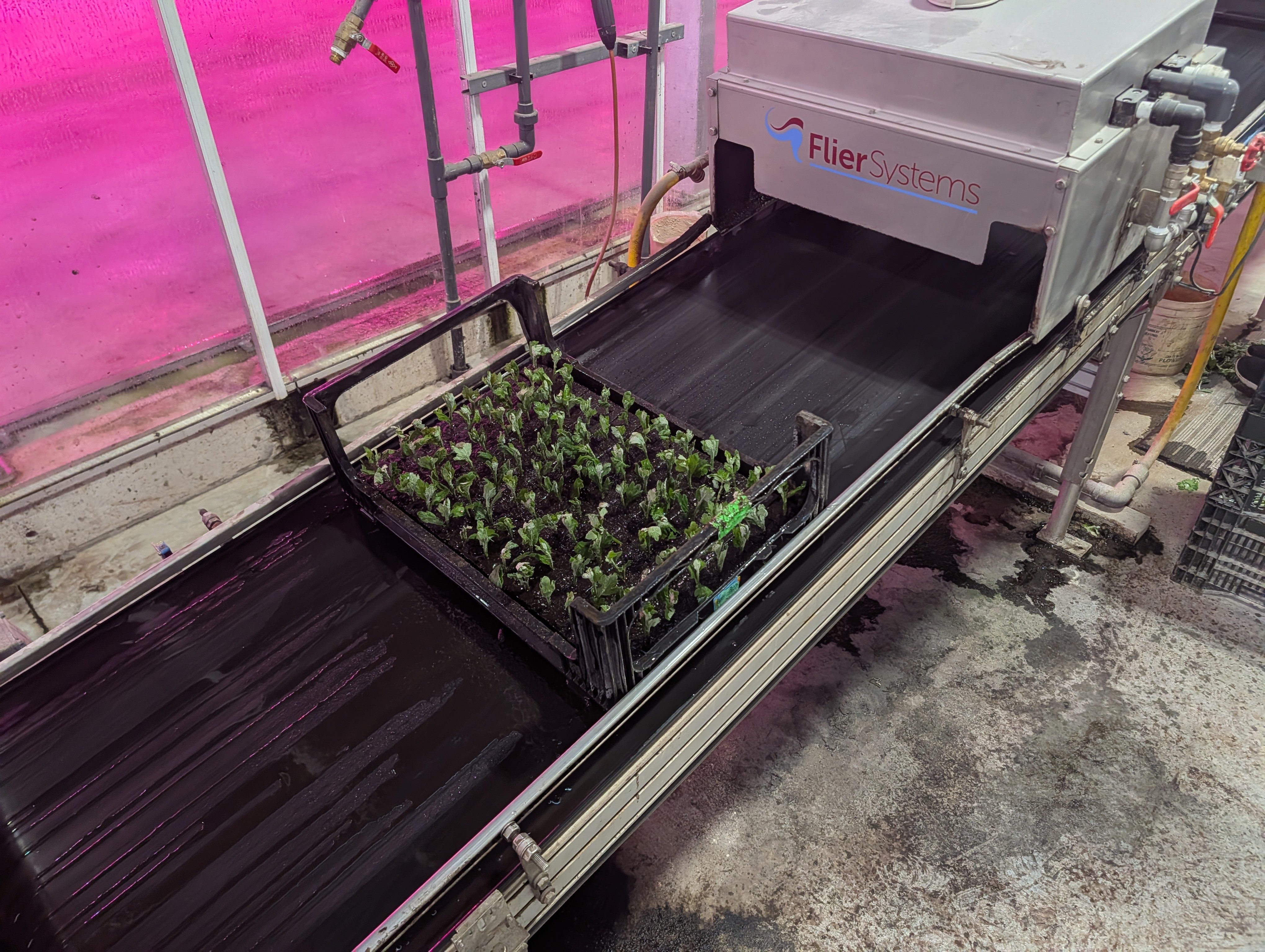 PXL_20260316_223809415