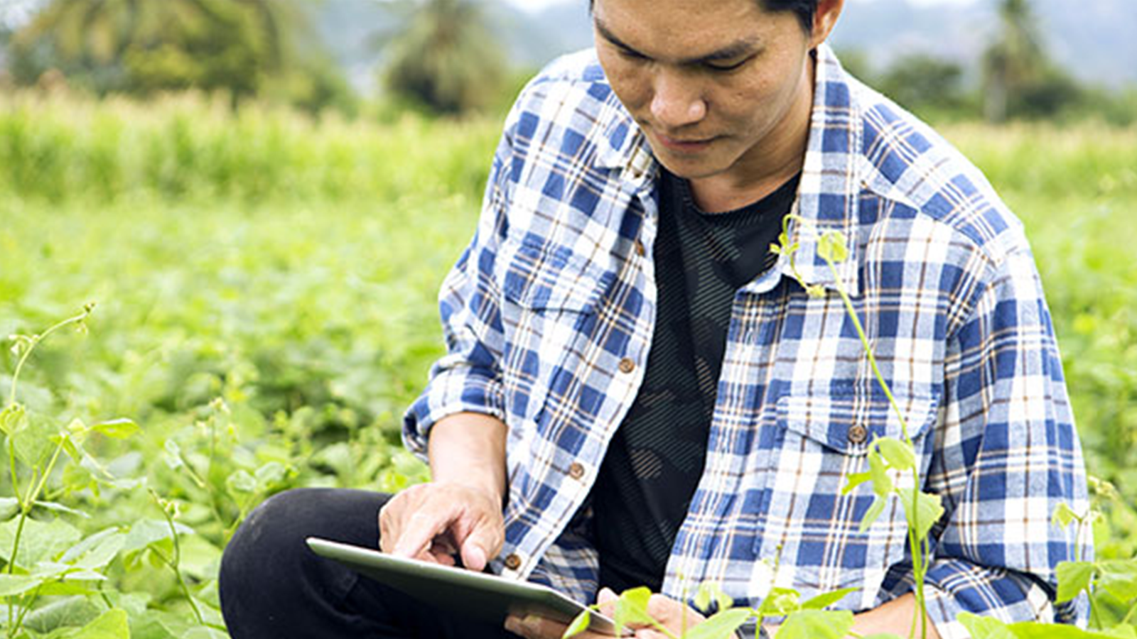 Agritech innovation challenge winners bring local tech to B.C. farms